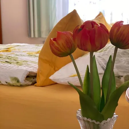 Apartment Altstadt-apartments - Ihr Zuhause Auf Reisen Bad Radkersburg