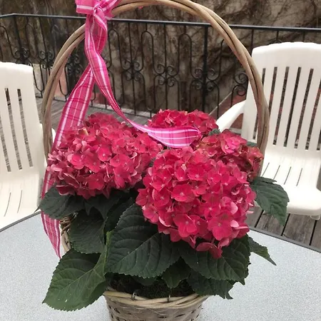 Apartamento Altstadt-apartments - Ihr Zuhause Auf Reisen Bad Radkersburg