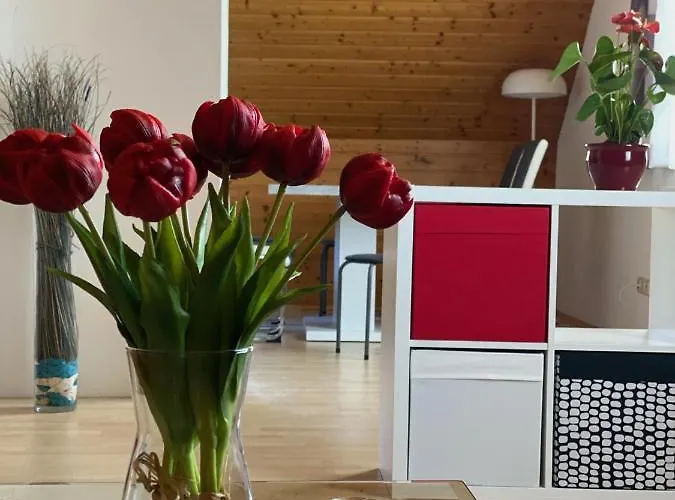 Altstadt-apartments - Ihr Zuhause Auf Reisen * Bad Radkersburg