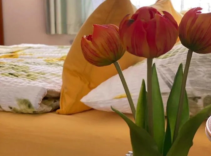 Appartamento Altstadt-apartments - Ihr Zuhause Auf Reisen Bad Radkersburg