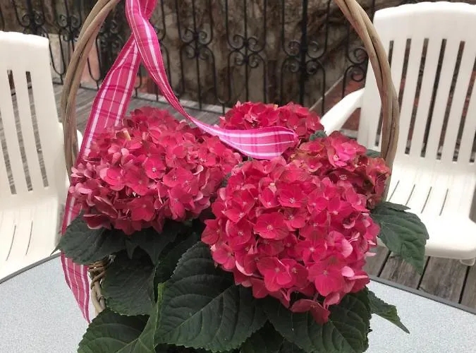 Appartamento Altstadt-apartments - Ihr Zuhause Auf Reisen Bad Radkersburg